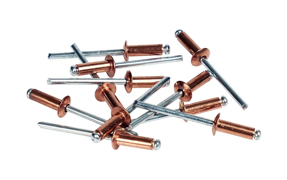 Rivet cuivre ø4.8 x 12 mm + foret , lot de 50^Rapid Discount