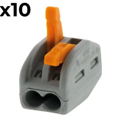 Sachet de 10 bornes 2 entrées série 222 --Wago Hot