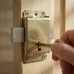 Serrure à patte axe 25 l. 45 mm x H. 50 mm x ep. 10 mm acier laitonné-Diall