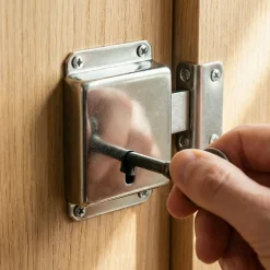 Serrure à patte axe 25 l. 45 mm x H. 50 mm x ep. 10 mm acier poli^Diall Hot