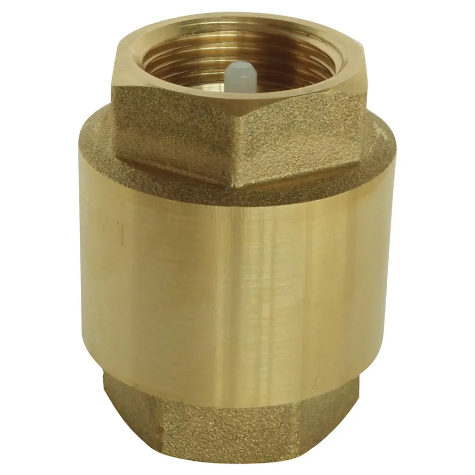 - Clapet de retenue universel Double Femelle 1 1/4 axe plastique-Somatherm for you