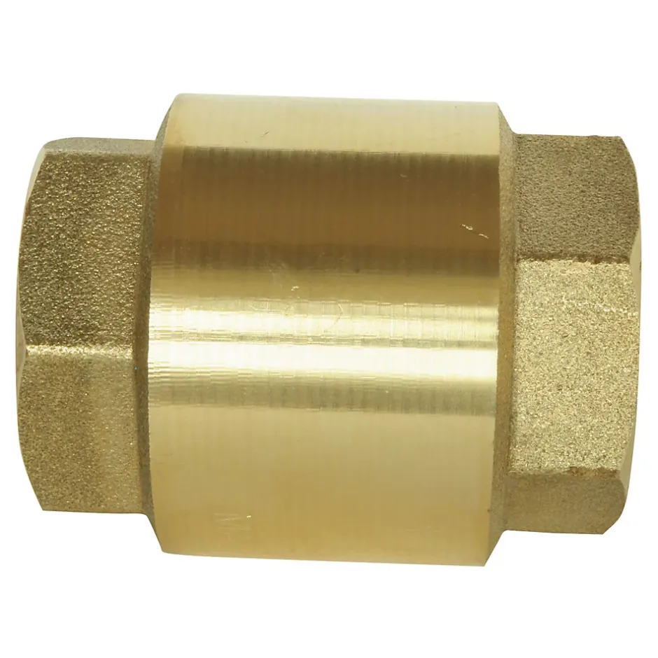 - Clapet de retenue universel Double Femelle 1 1/4 axe plastique-Somatherm for you