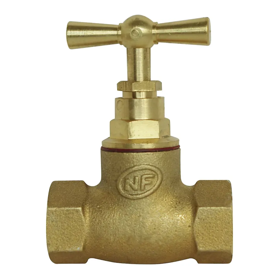 - Robinet d'arrêt à visser double Femelle FF12/17 - En laiton brut^Somatherm for you Best