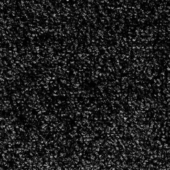 Tapis de Porte Paillasson d'entrée Monochrom Noir 200 x 200 cm^Floordirekt New