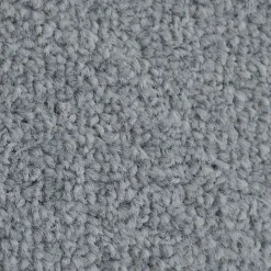 Tapis de Porte Paillasson d'entrée Monochrom Gris argent 40 x 60 cm^Floordirekt Best