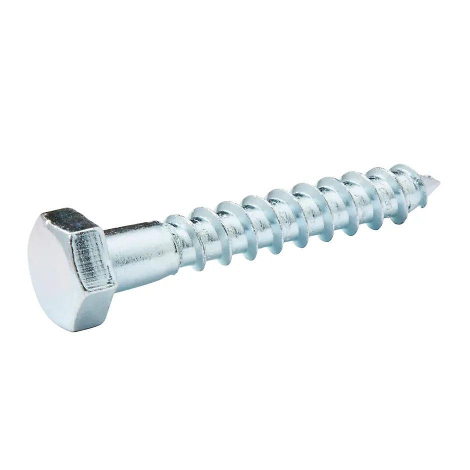 Tirefonds DIN 571 zingués 8x50 mm - 10 pièces^Diall Clearance