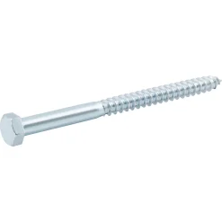 Tirefonds zingués 12x160 mm - 5 pièces^Diall Discount