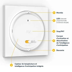 Télécommande Amy blanc sun protect IO-Somfy Best