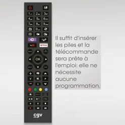 Télécommande Fidelio Hisense 55 boutons Noire infrarouge prête à l'emploi-Cgv Clearance