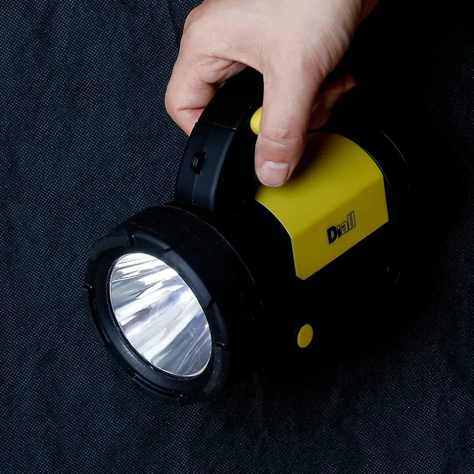 Torche rechargeable 300 lumens-Diall Outlet