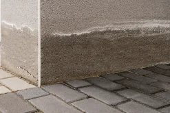 Traitement murs humides et salpêtre intérieur extérieur incolore 0,75L-Ripolin Discount