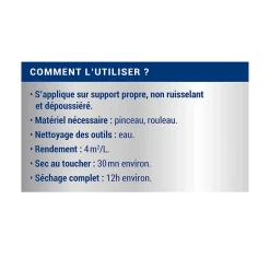 Traitement murs humides et salpêtre intérieur extérieur incolore 2,5L-Ripolin Online