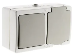 Va-et-vient + prise 2P+T-Zenitech New