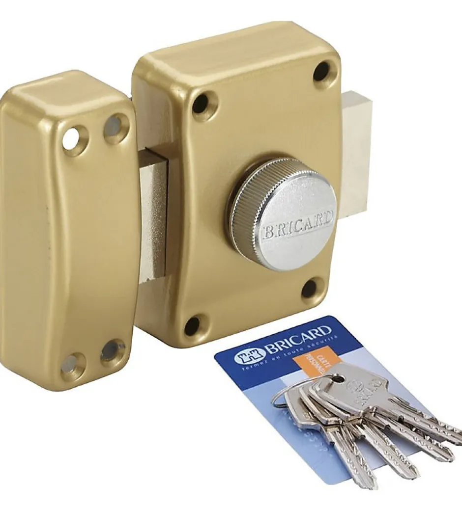 Verrou de sécurité pour porte à bouton et clé Bricard Cylindre Astral 42 mm 3 clés Avec contre plaque^Autres Best