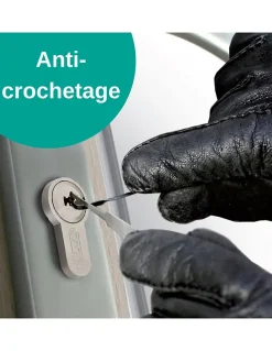 Verrou double entrée Trafic 6 pour porte d'entrée, cylindre 45mm, acier, 4 clés, époxy or --Thirard Clearance