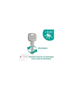 Verrou double entrée Transit 2 pour porte d'entrée, cylindre 40mm, 4 clés, époxy or --Thirard