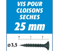 Vis Auto Perceuse 25 mm - Fixation des Plaques de Plâtre sur l'Ossature - Intérieur - Boîte de 1000 Pièces (Lot de 5000)-Semin Online