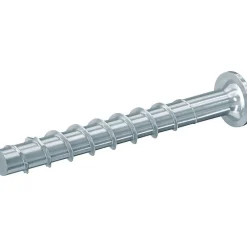 Vis béton - - Tête cylindrique - Acier électrozingué - 6 x 40/5 - Boîte de 100-Fischer