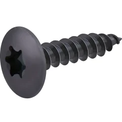 Vis de charnière zinguée noire 6x30 mm - 20 pièces^Diall Hot