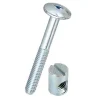 Vis tête bombée + plot en acier zingué, Ø.6 x L. 50 mm vendue par 4 pièces^Diall Outlet