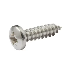 Vis zinguée autoperceuses à tête cylindrique acier inoxydable A2, 4,2x16 mm - 25 pièces^Diall New